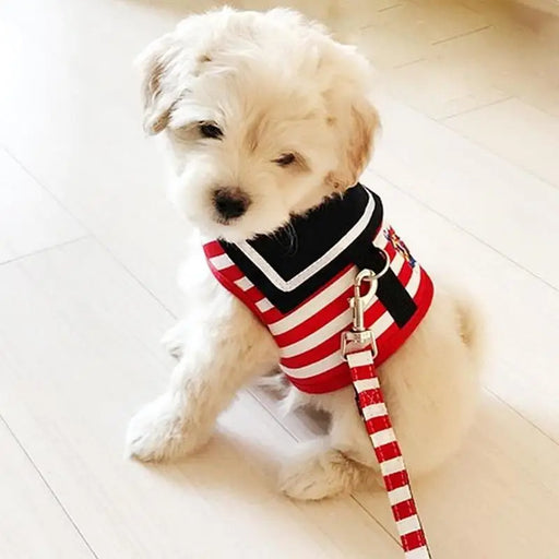 2021 Adjustable Dog Collar Harness Leash Creative Navy Suit Style Chest Strap Rope For Small Medium Dogs Cats - Treko - 2021 trends, automatic leash, birthday gifts, casual leash, cat leash, color leash, colorful leash, cute cat leash, cute cate leash, cute dog leash, dogs birthday leash, fashion 2021, fashion leash, leash, leash 2021, leash for every dog, new trend 2021, nylon leash, stylish dog leash, trends 2021, trendy leash- Stevvex.com