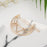 Classic Geometric Alloy Moon Circle Star Shaped Metal Women Hair Clips Trendy Various Shapes Hair Clip For Girl Cute