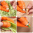 Multi-Functional 1 Set Silicone Finger Protector With Blade For Fruits Vegetable Thumb Knife Finger Guard Kitchen Accessories - ALLURELATION - 501, Best selling finger cutter, Cooking Tools, Easy to use, Finger Guard, Finger Protector, Fruit & Vegetable Tools, Fruits Vegetable Thumb Knife, Hot Sale finger cutter, Kitchen Accessories, Kitchen gadgets, Kitchen Tools, Protection hand tools, Protector With Blade, reuseable, Silicone Finger, Thumb Knife, Top Quality cutter, unique design cutter - Stevvex.com