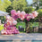 119 Pcs Peach Pink Rose Gold Latex Balloons For Wedding Birthday Valentine's Day Party Decorations Office Parties Baby Showers Girl Birthday Party Ballon Decoration IN Modern Style - STEVVEX Balloons - 119PCS BALLOONS, 90, anniversery balloons, baby pink balloons, baby shower, baby shower balloons, balloon, balloons, Birthday ba, Birthday ballon, birthday balloon, birthday theme balloons, creative pink balloons, pinkish themed balloons - Stevvex.com