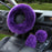 3PCS Fur Steering Wheel Cover Set Real Sheepskin Auto Plush Warm Fluffy Fuzzy Women Winter Fashion Wool Fur Soft Furry Steering Wheel Covers Blue Fluffy Handbrake Cover Gear Shift Cover Fuzz Warm Non-slip Car Decoration Car Accessories for Women Girl