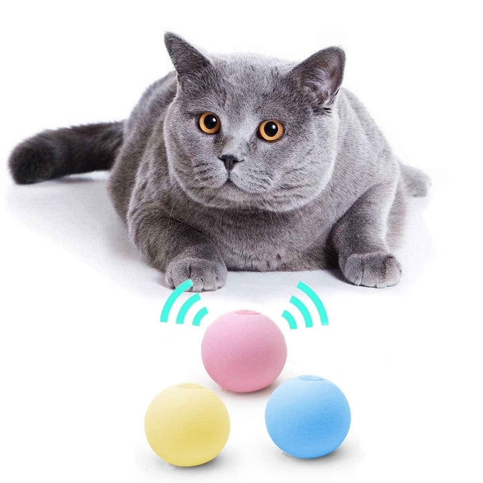 Smart Cat Toys Ball Catnip Cat Training Toy Pet Playing Ball Pet Products Toy for Cats Interactive Chirping Balls Cat Kicker Toys Fun Catnip Toys for Cat Exercise