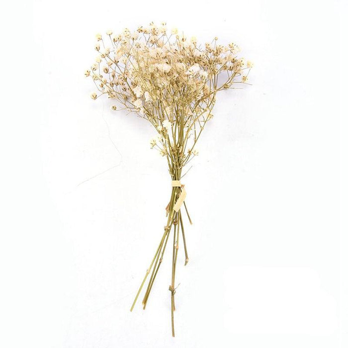 Natural Gypsophila Dried Flowers Mini Babysbreath Flower Preserve Floral  Decor Bouquet Wedding Party Home Backdrop Decor 12cm