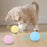 Smart Cat Toys Ball Catnip Cat Training Toy Pet Playing Ball Pet Products Toy for Cats Interactive Chirping Balls Cat Kicker Toys Fun Catnip Toys for Cat Exercise