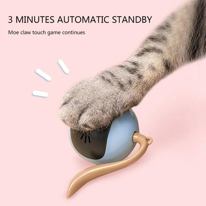 Smart Pet Toy USB Rechargeable Sports Ball Funny Chaser Roller Toy The Best Entertainment Exercise Gift For Smart Cat Toy Electric Jumping Ball Self Rotating Toys Rolling Jumping Ball  For Cats